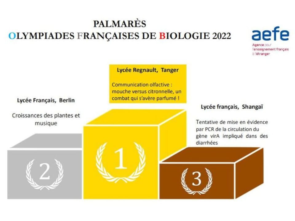 7 olympiades